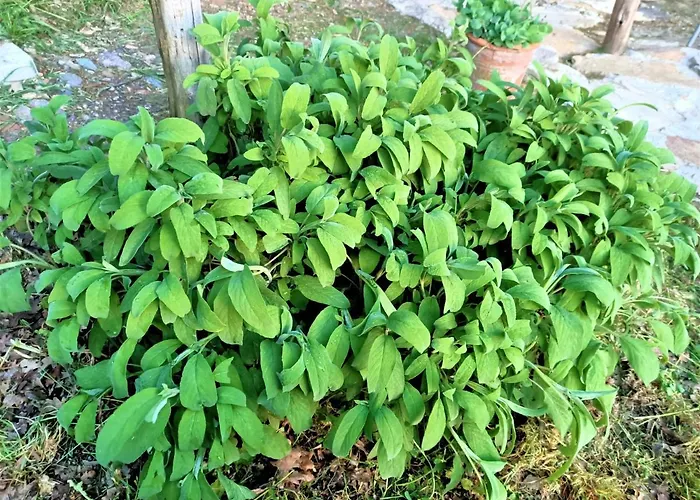 Casa Nati Casa rural Casale di Pari